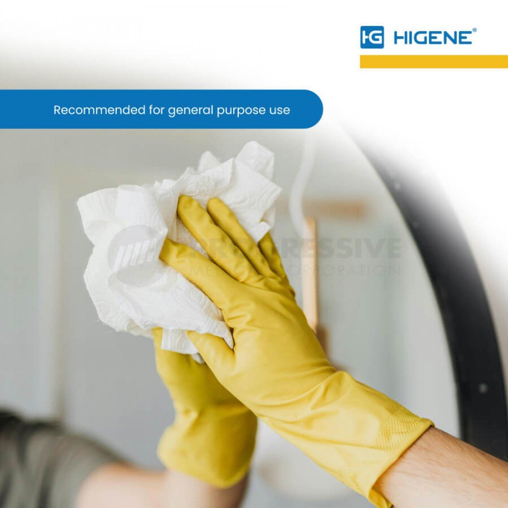 Higene Household Gloves (Large)