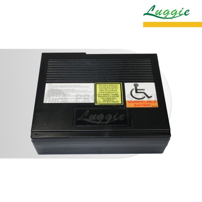 Luggie Scooter Battery