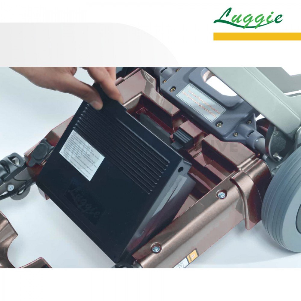 Luggie Scooter Battery