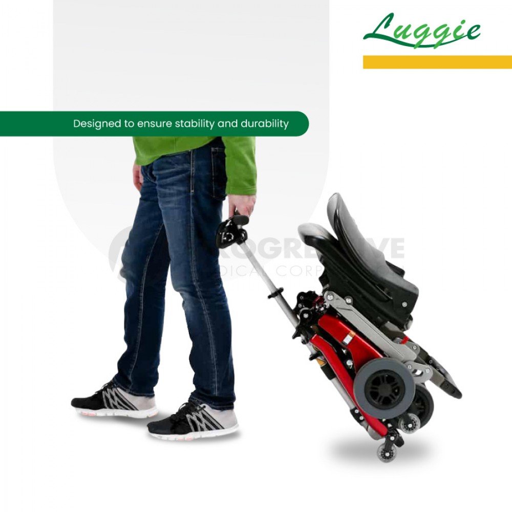 Luggie Scooter Battery