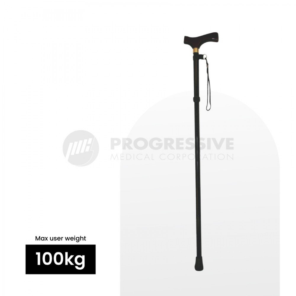 Foldable Walking Stick, Black